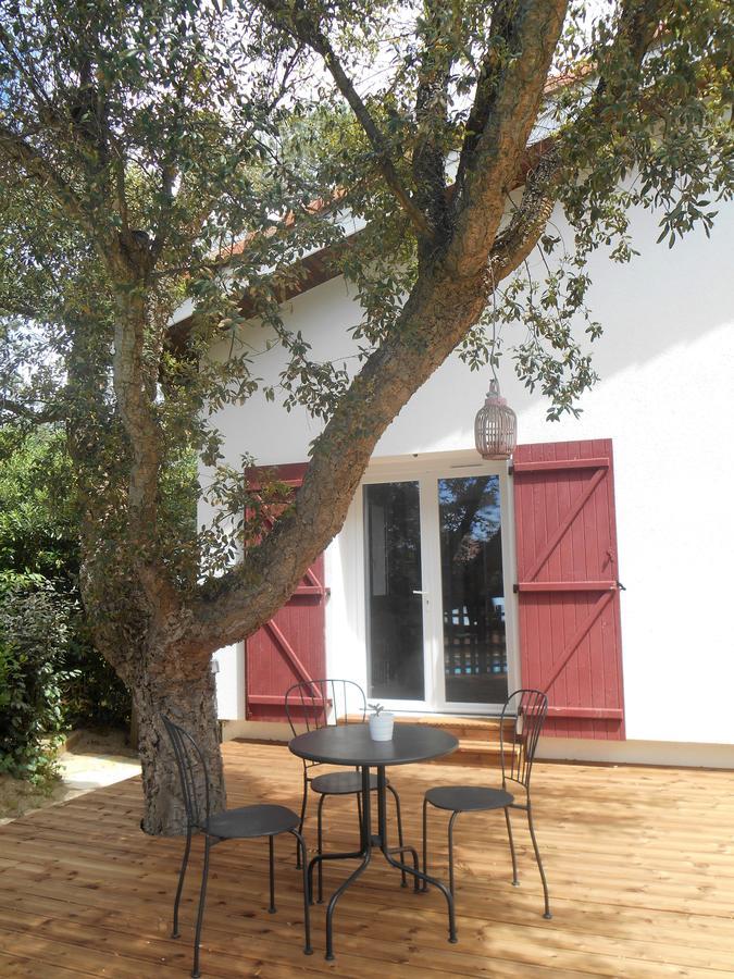 Maysoe Chambres D'Hotes Vieux-Boucau-les-Bains Zewnętrze zdjęcie