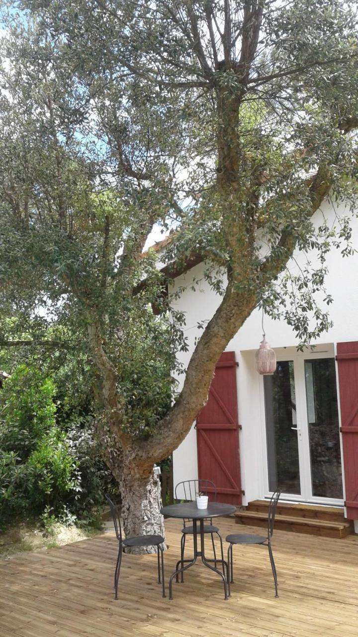 Maysoe Chambres D'Hotes Vieux-Boucau-les-Bains Zewnętrze zdjęcie